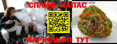 дмт Можайск