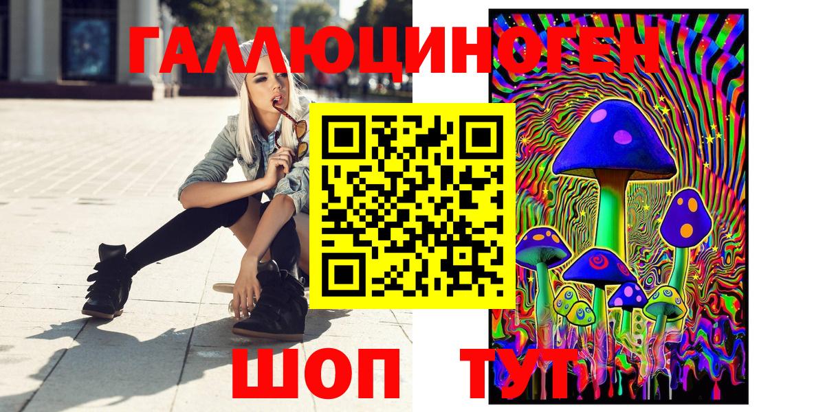 Галлюциногенные грибы Psilocybine cubensis Владикавказ