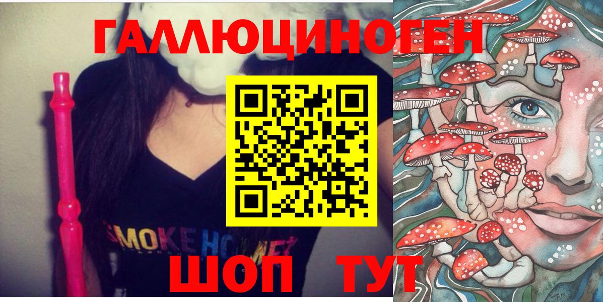 Владикавказ  Псилоцибиновые грибы Cubensis  Вход с VPN 
